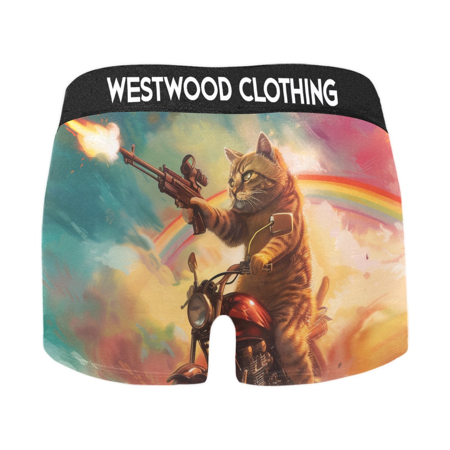 Rainbow Kitty Briefs