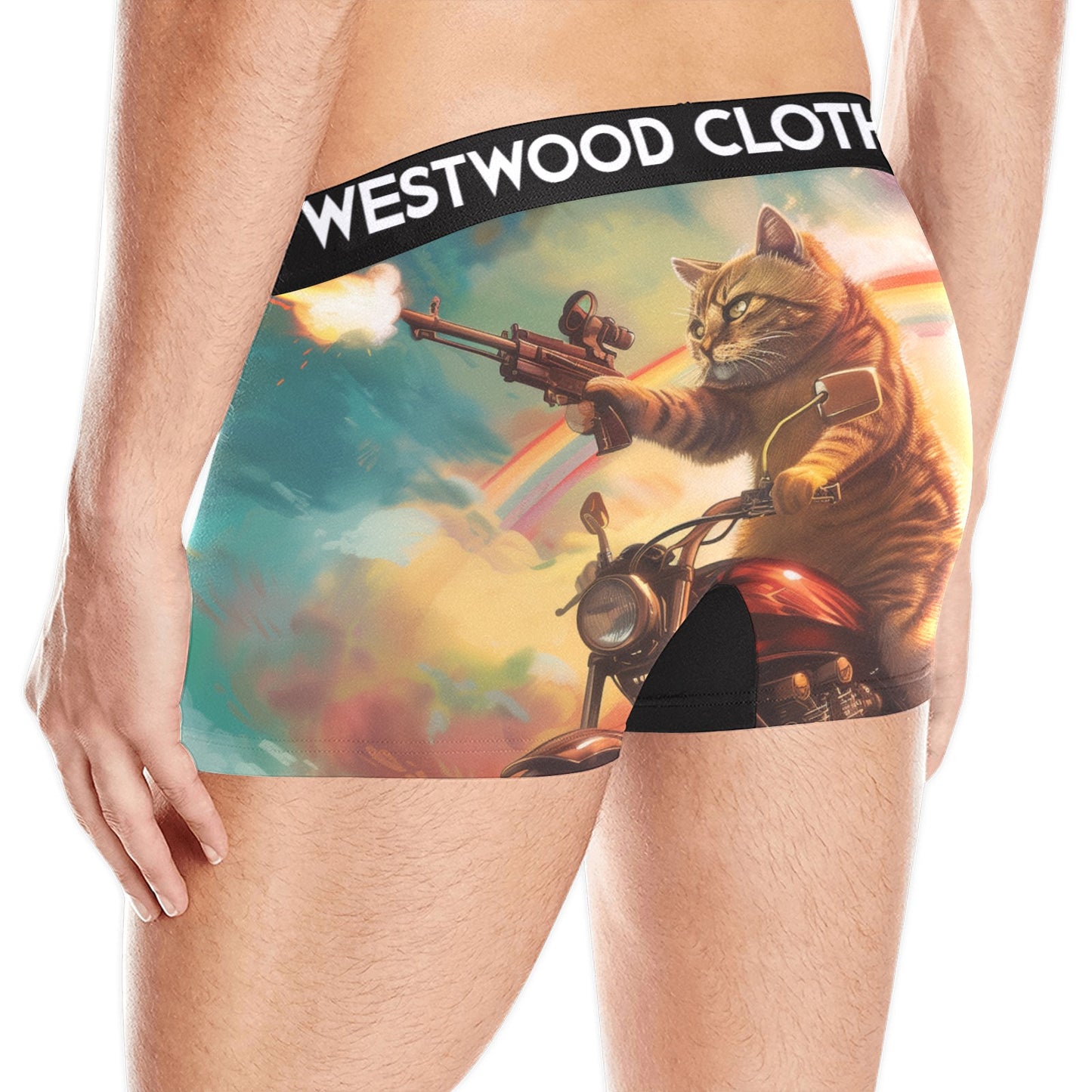Rainbow Kitty Briefs