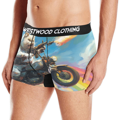 Rainbow Kitty II Briefs