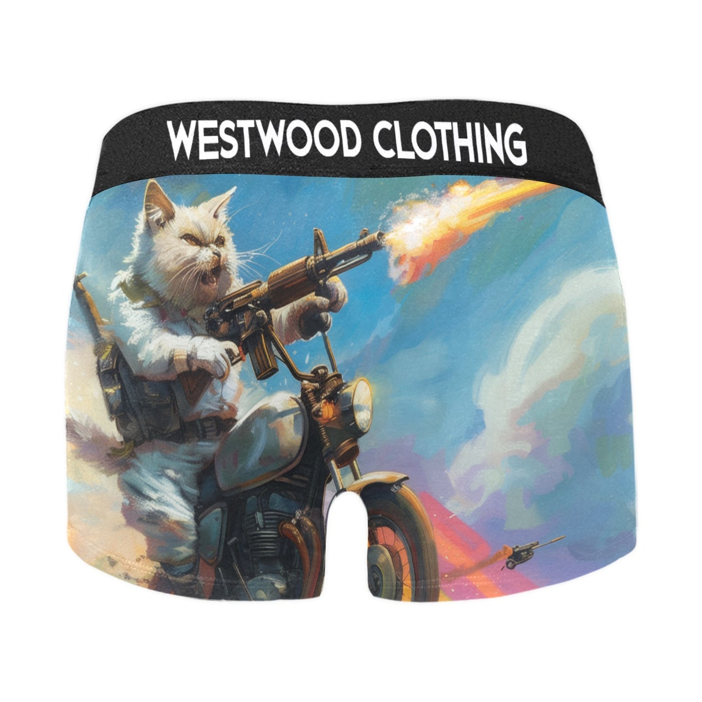 Rainbow Kitty II Briefs