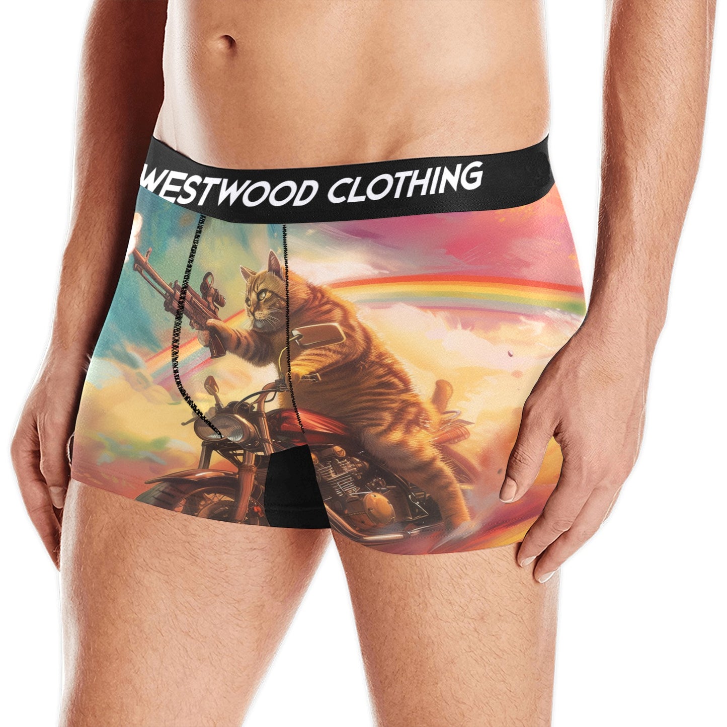 Rainbow Kitty Briefs